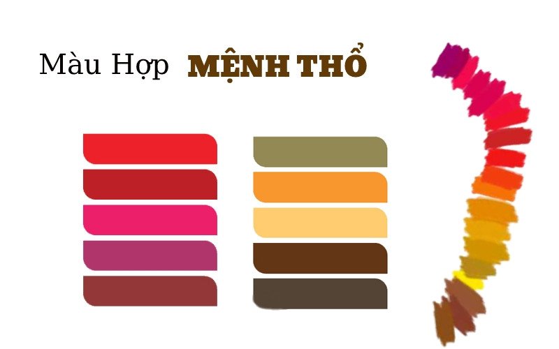 Một bảng màu sắc đa dạng, trong đó nổi bật các màu vàng, nâu, đỏ, tím hợp với người mệnh Thổ