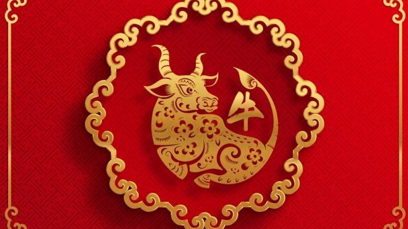 Một người phụ nữ ngồi thiền với ánh sáng lung linh xung quanh, tượng trưng cho sự bình yên và tiềm ẩn của mệnh Hải Trung Kim