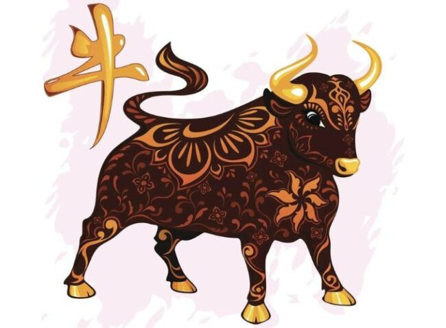 Nam Kỷ Sửu 2009 thuộc tuổi Trâu, bản lĩnh vững vàng