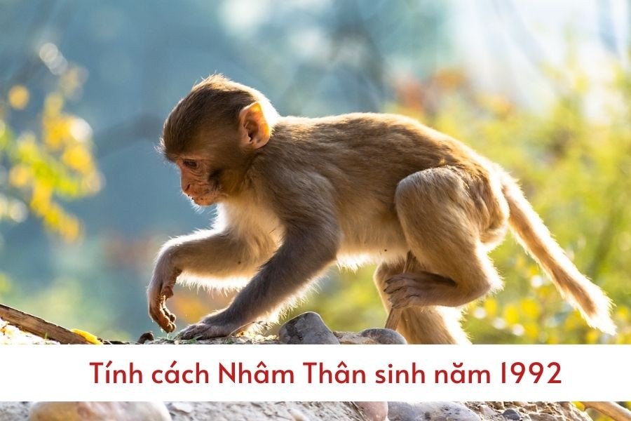 Nam Nhâm Thân 1992 với ý chí kiên cường đối mặt thử thách