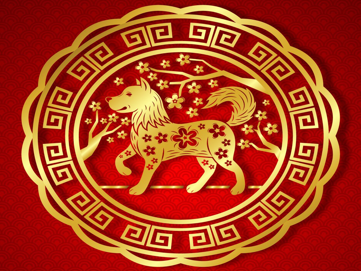 Nam nữ sinh năm 1958 tuổi Mậu Tuất và can chi tương ứng