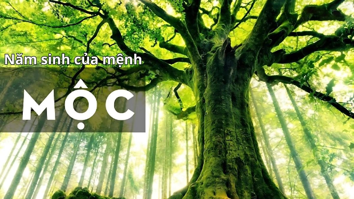 Năm sinh của người mệnh Mộc và các nạp âm