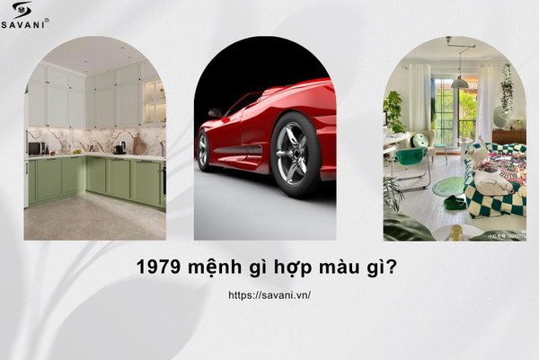 Nên lựa chọn đồ nội thất và xe cộ có gam màu đỏ hoặc xanh lá cho nam Kỷ Mùi
