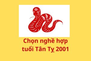 Ngành nghề phù hợp với người tuổi Tân Tỵ 2001