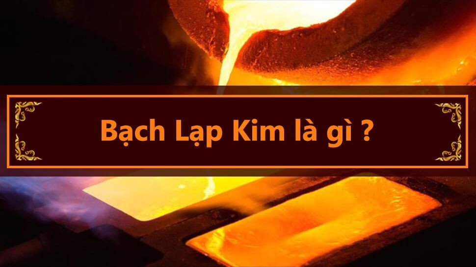 Người mệnh Bạch Lạp Kim trầm tư suy nghĩ về cuộc sống và tương lai