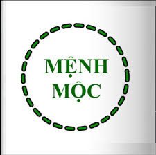 Người mệnh Mộc trồng cây trúc nhật để thu hút tài lộc, may mắn
