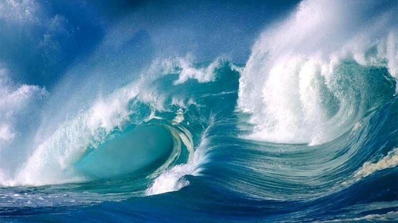 Người mệnh Thủy có tính cách dịu dàng và khả năng thích nghi cao