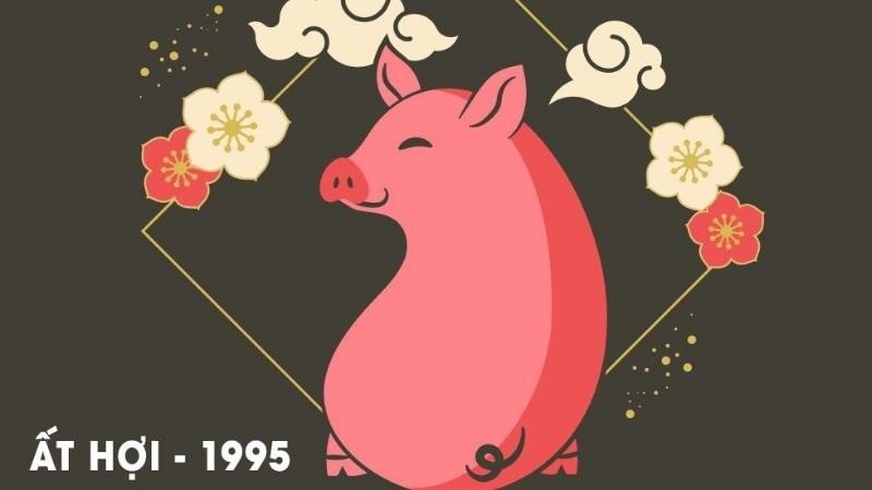 Người nam sinh năm 1995 hợp số 2, số 5, số 8 và số 9