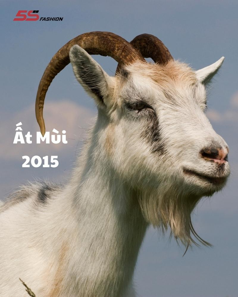 Người phụ nữ đang trầm tư, tượng trưng cho tính cách nội tâm của nữ Ất Mùi sinh năm 2015