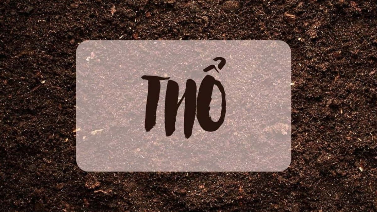 Người phụ nữ tuổi Bính Thìn 1976 với tính cách kiên định, trung thực, đại diện cho nữ sinh năm 1976 mệnh gì