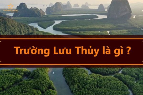 Người sinh năm 1953 thuộc mệnh Thủy Trường Lưu Thủy với tính cách cẩn trọng và suy nghĩ lớn lao.