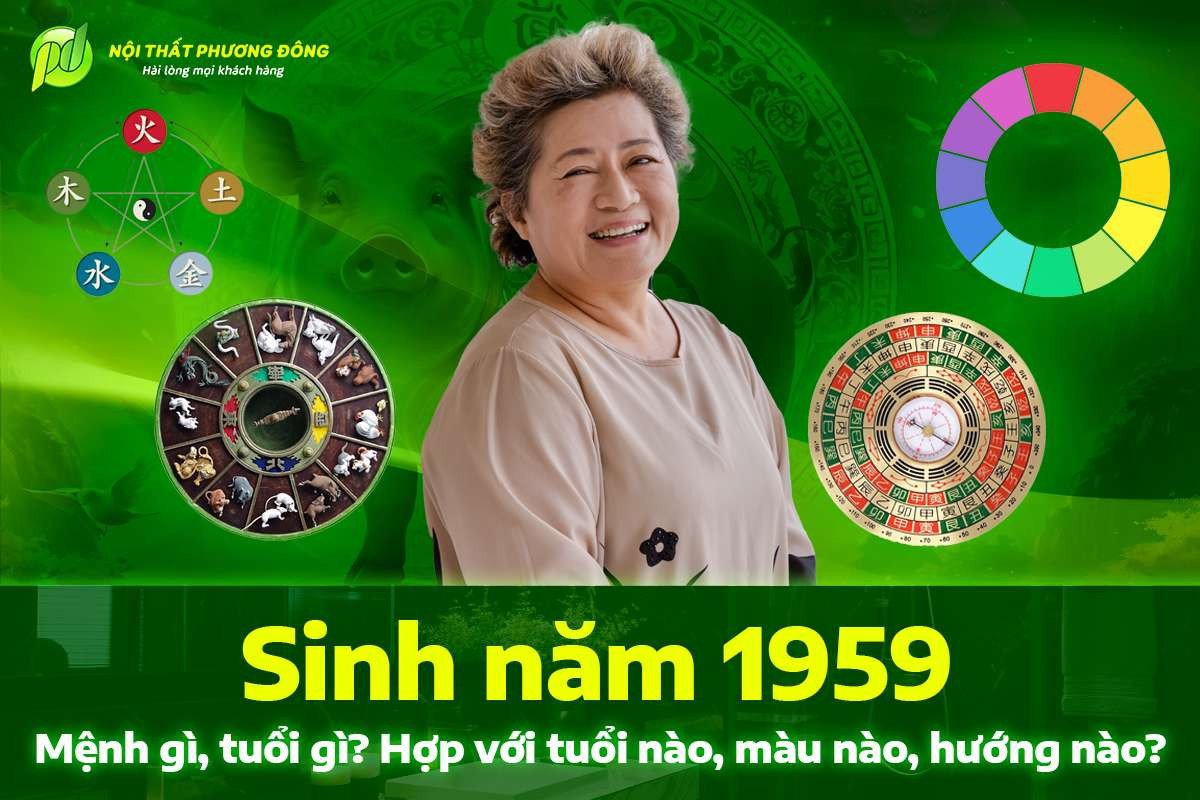 Người sinh năm 1959 thuộc tuổi Kỷ Hợi với mệnh Bình Địa Mộc
