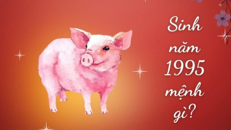 Người sinh năm 1995 mệnh Hỏa, cụ thể là Sơn Đầu Hỏa