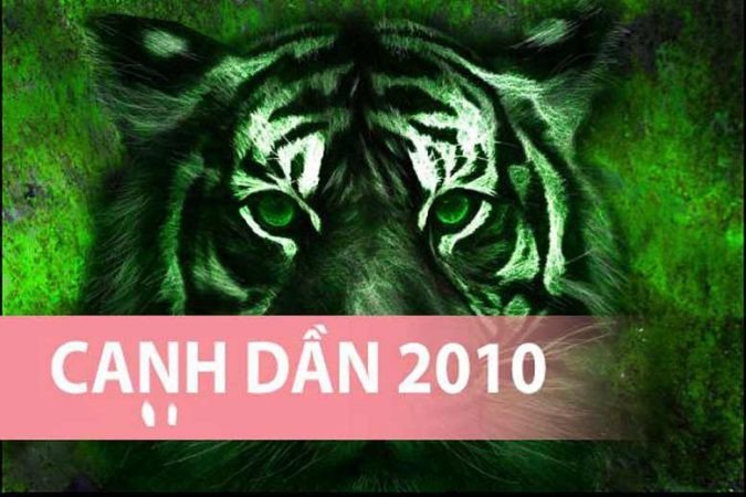 Người sinh năm 2010 mệnh Mộc cần biết 2010 mệnh gì hợp màu nào