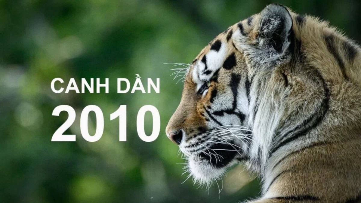 Người sinh năm 2010 tuổi Canh Dần