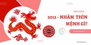 Người sinh năm 2012 mệnh gì, đặc trưng tính cách ra sao