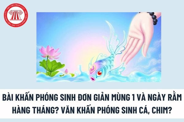 Người thực hiện nghi thức phóng sinh ốc với tấm lòng thành kính