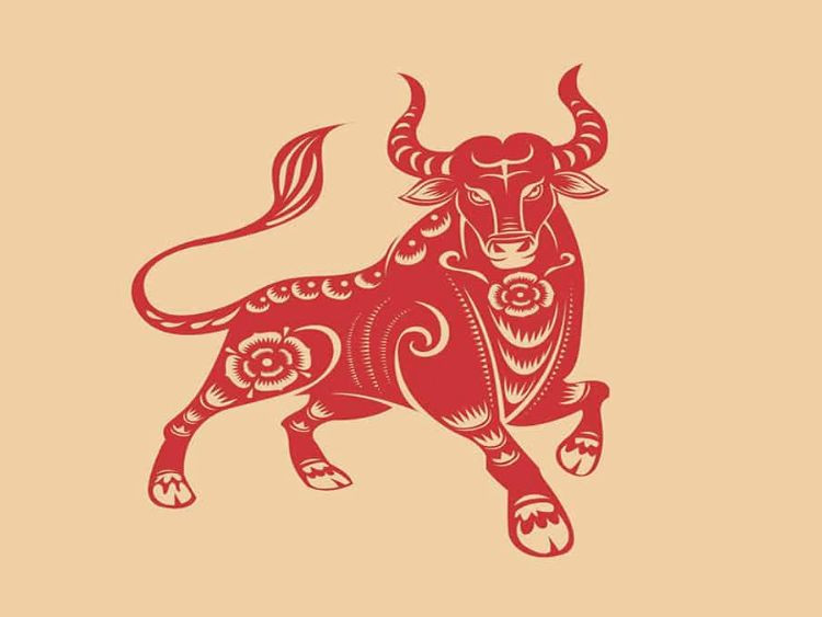 Người tuổi Ất Sửu 1985 cầm tinh con trâu, biểu tượng cho sự cần cù và kiên nhẫn