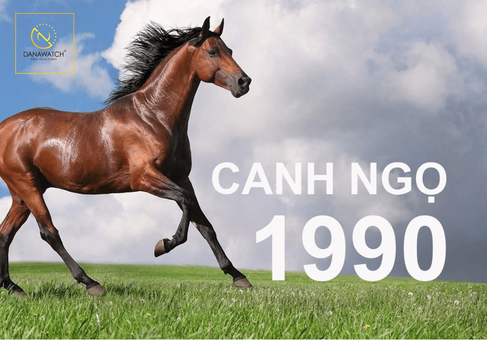 Người tuổi Canh Ngọ 1990 thể hiện sự độc lập và tự tin
