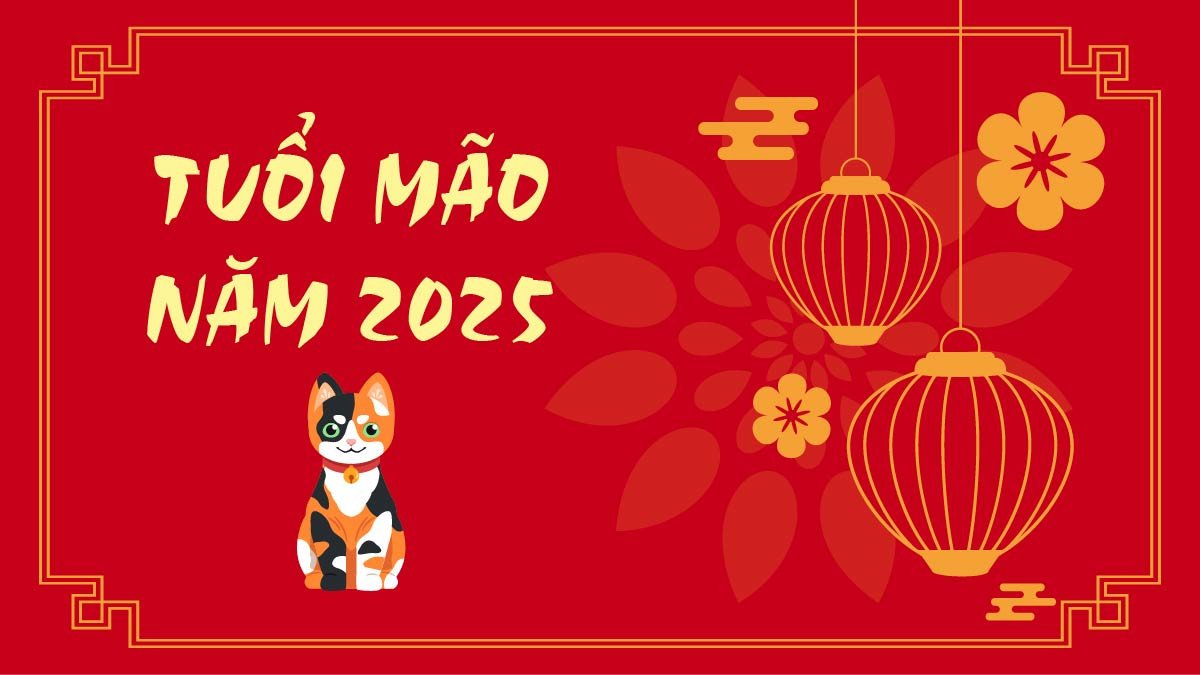 Người tuổi Mão đang ngồi đọc sách, tượng trưng cho sự bình yên và ổn định trong năm 2025