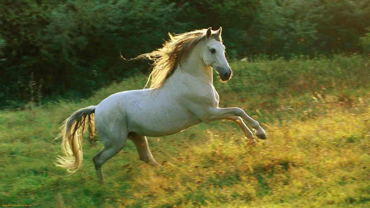 Những dự đoán về sự nghiệp người sinh năm 2026 mệnh gì