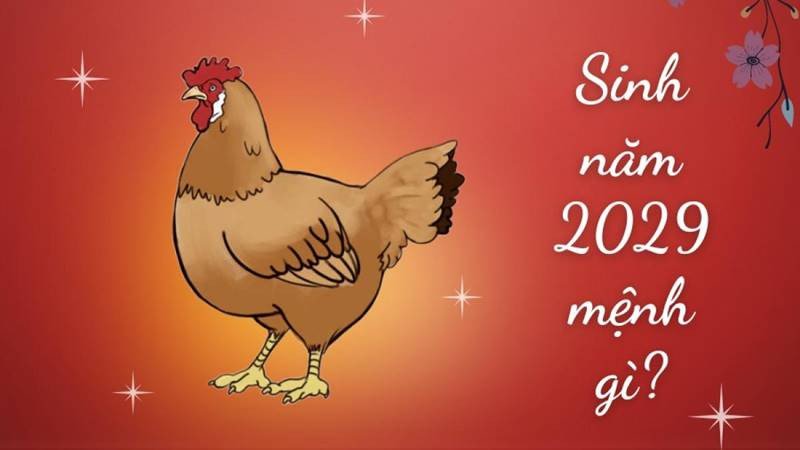 Những tuổi bố mẹ cần tránh khi sinh con năm Kỷ Dậu 2029 để tránh xung khắc