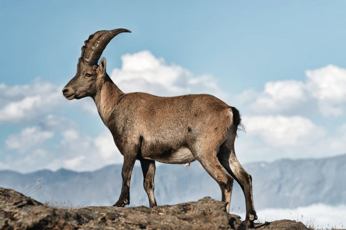 Nữ 2003 mệnh gì? Màu xanh dương mang lại may mắn cho Nữ Quý Mùi