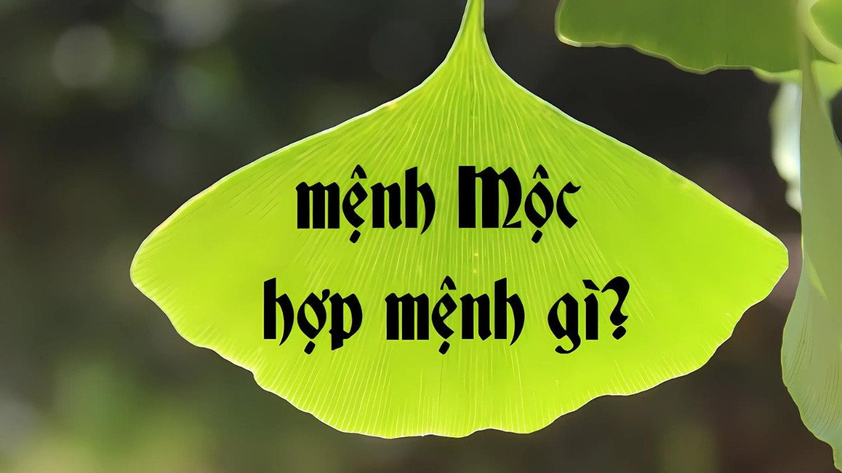 Nữ mệnh Mộc hợp mệnh gì trong tương sinh