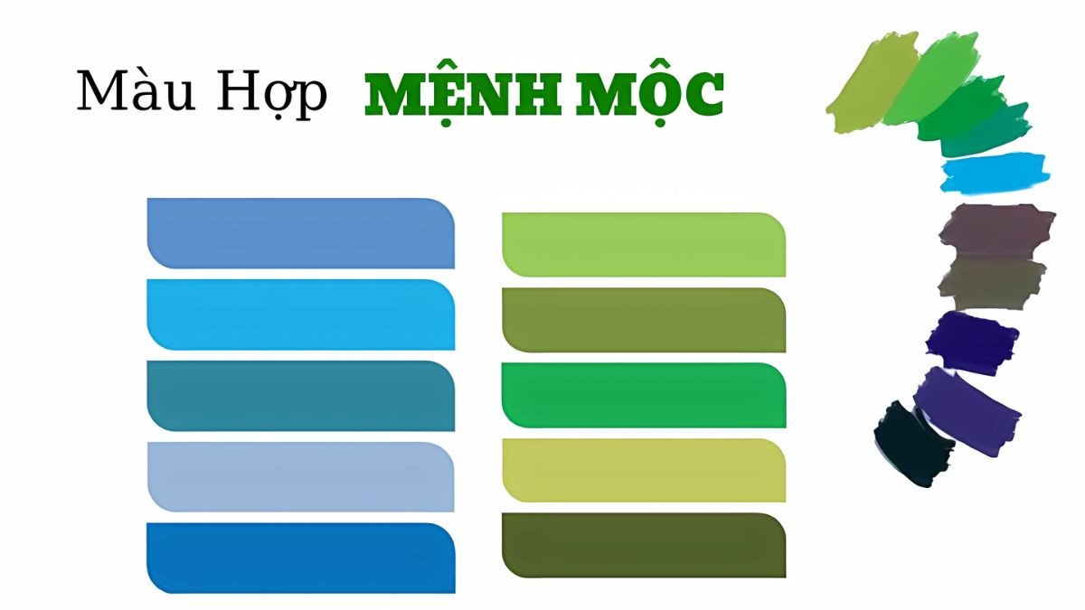 Nữ sinh năm 2002 mệnh Mộc hợp màu xanh lá, đen, xanh dương