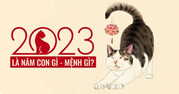 Phong thủy bé sinh năm Quý Mão 2023 mệnh Kim và các màu sắc hợp mệnh