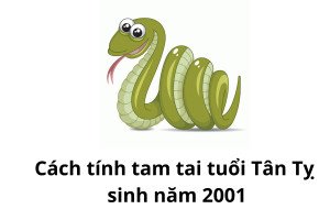 Phương pháp tính hạn tam tai và cách hóa giải cho nữ 2001