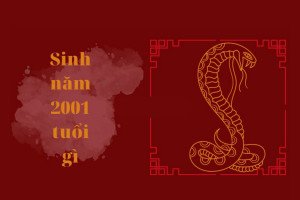 Sinh năm 2001 tuổi gì