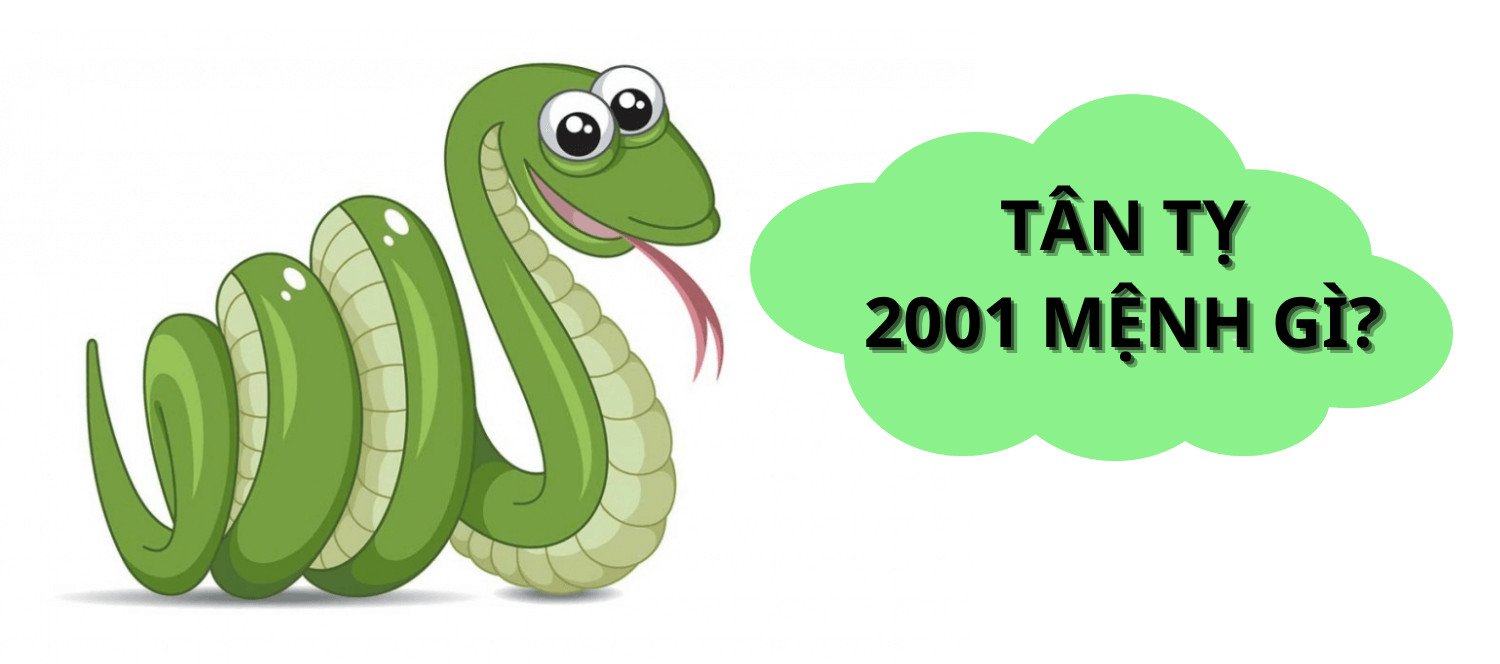 Sinh năm Tân Tỵ 2001 mệnh gì?