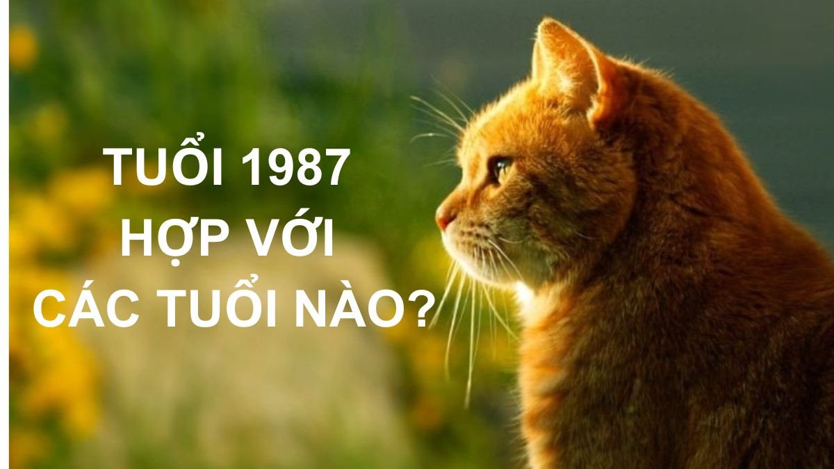 Sơ đồ các tuổi hợp và kỵ với người tuổi Đinh Mão 1987