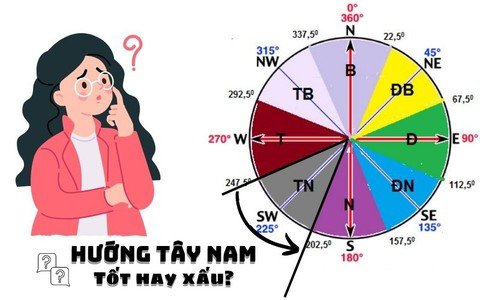 Sơ đồ phong thủy hướng nhà, xác định hướng tốt xấu cho tuổi Ất Dậu sinh năm 1945 mệnh gì.