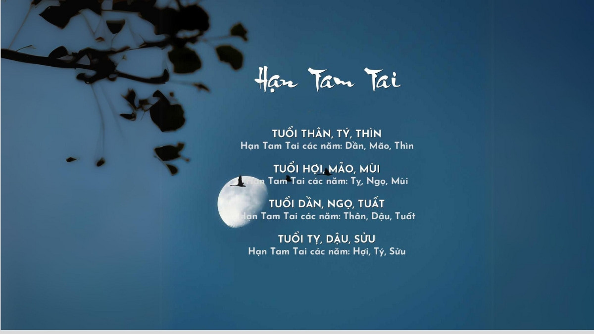 Tam tai người sinh năm 1976