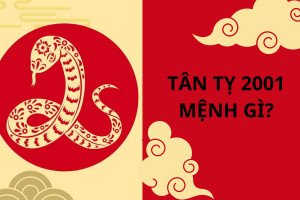 Tân Tỵ sinh năm 2001 là mệnh gì