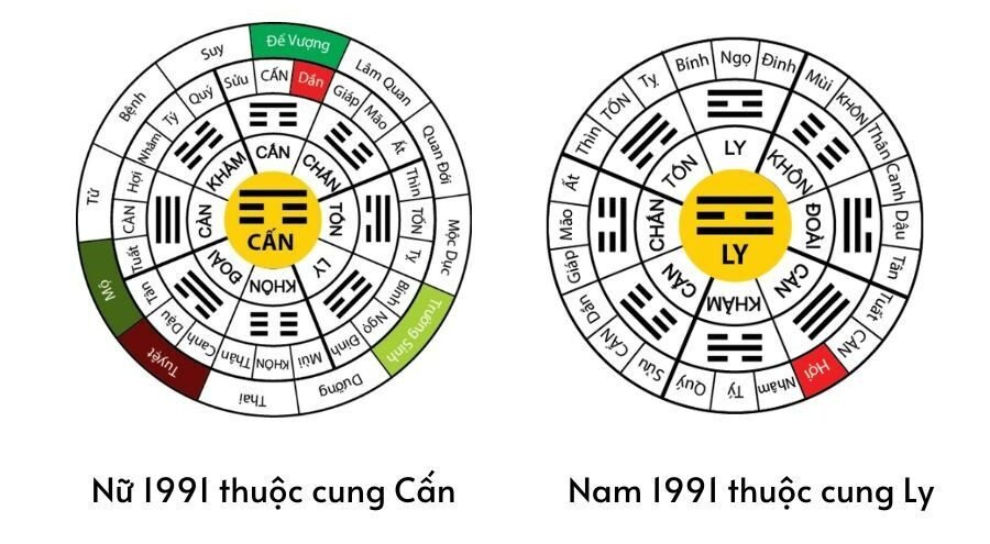 Thông tin về năm 1991 mệnh gì cung gì
