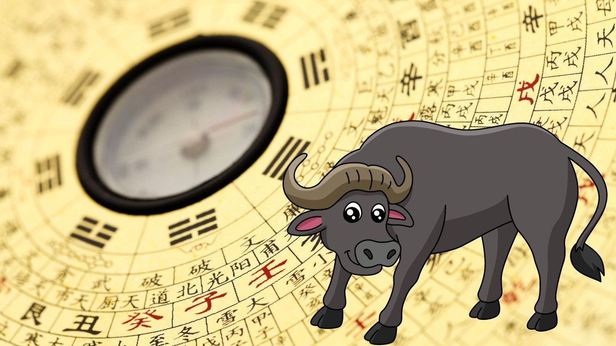 Tìm hiểu cung mệnh nam và nữ sinh năm 1973 tuổi gì mệnh gì