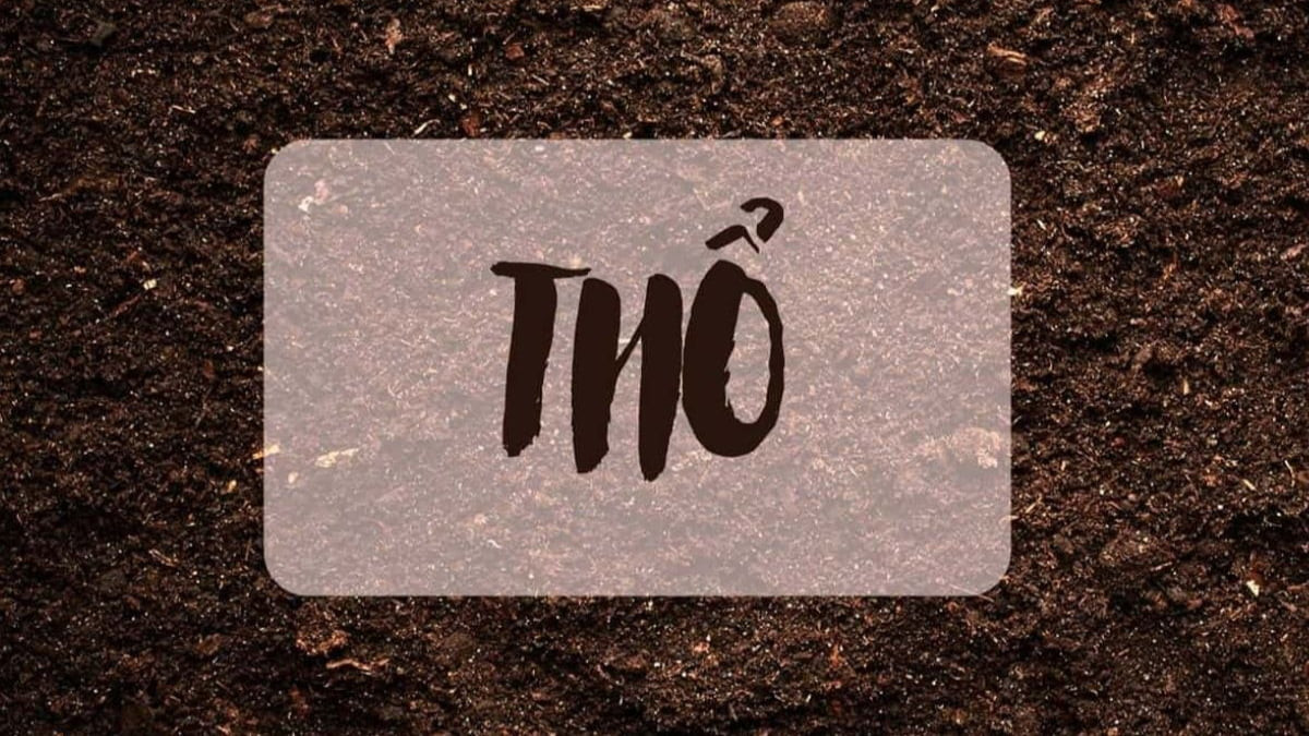 Tính cách độc đáo của người sinh năm 1976 mệnh gì