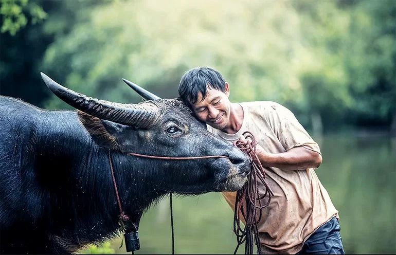 Tính cách nữ 1985 mệnh Kim Hải Trung