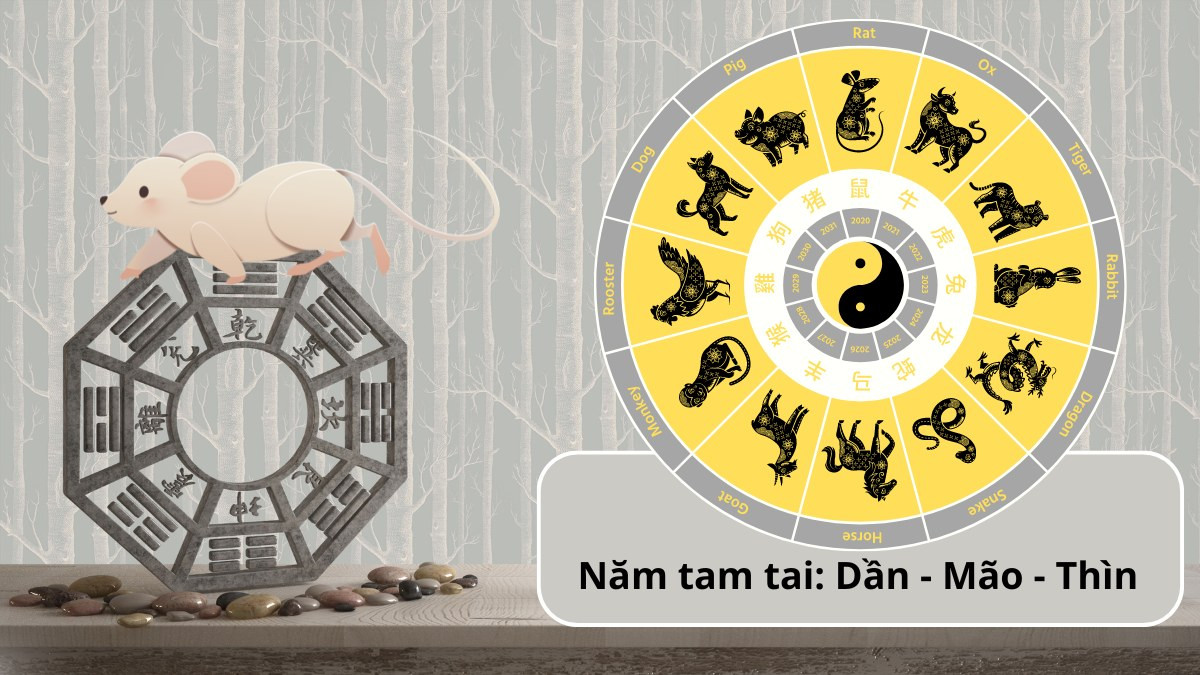 Tính tam tai Giáp Tý 1984