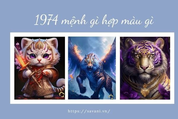 Tổng quan về nam Giáp Dần 1974