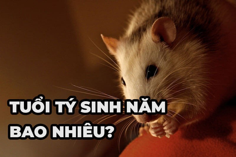 Tổng quan về người tuổi Tý và năm sinh
