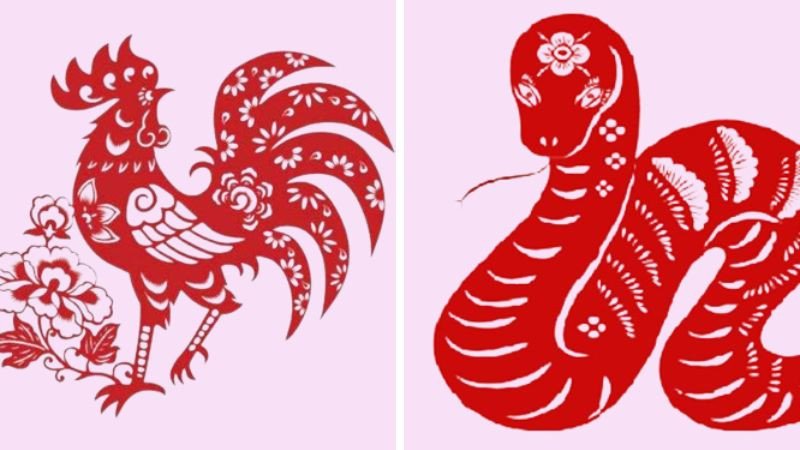 Tuổi Ất Sửu 1985 hợp với Tỵ và Dậu trong tam hợp