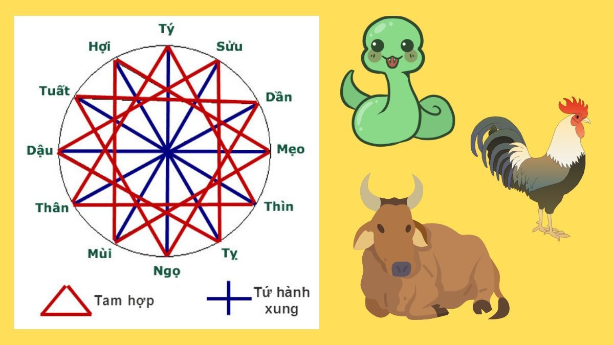 Tuổi hợp nữ Ất Sửu 1985