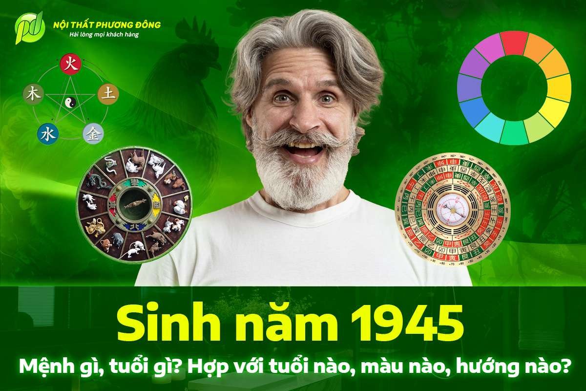 Tượng trưng cho người sinh năm 1945 mệnh gì, tổng quan về vận mệnh Ất Dậu.