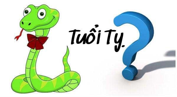 Tỵ là mệnh gì và các năm sinh liên quan
