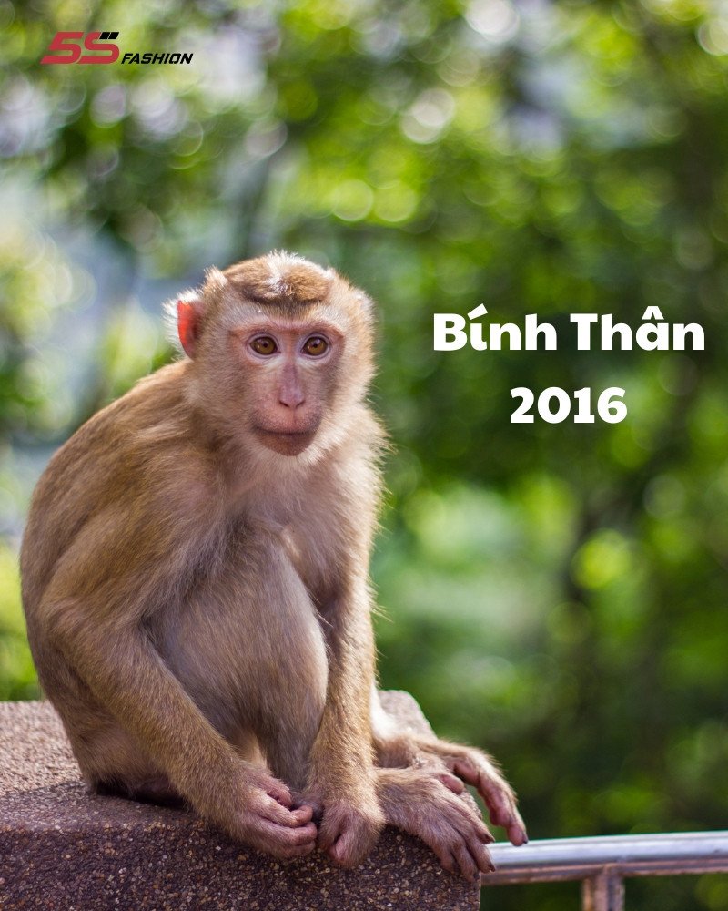 vật phẩm phong thủy tuổi Bính Thân 2016 hình con khỉ