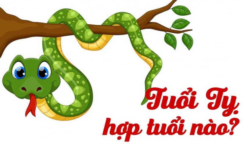 Ý nghĩa của tuổi Tỵ là mệnh gì trong phong thủy và cuộc sống